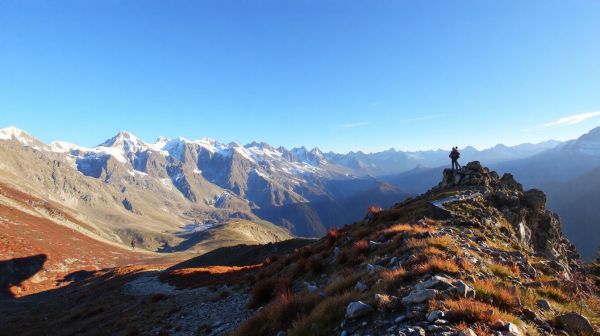Engagez un élagueur grimpeur aux Portes du Soleil : services à la carte